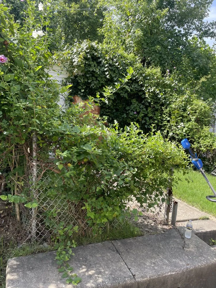 Custom lawn mowing service with custom design across Darby, PA - AJ And Friends Quality Service