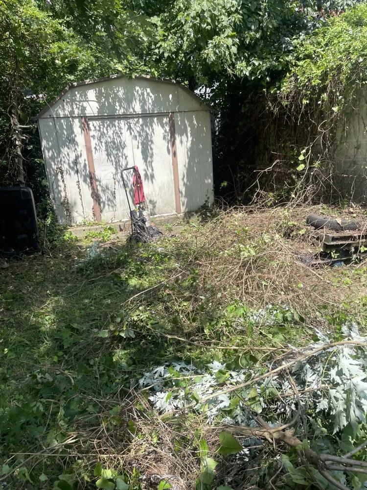 Trusted lawn mowing service in Darby, PA - AJ And Friends Quality Service