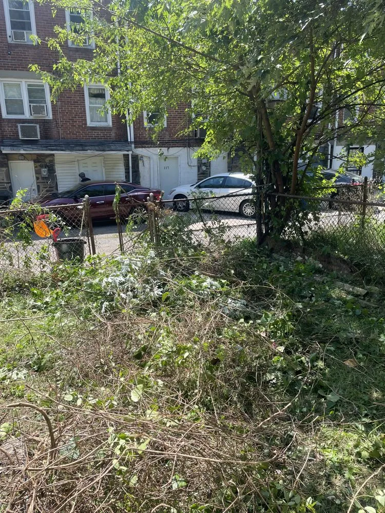 Top-rated lawn mowing service experts serving Darby, PA - AJ And Friends Quality Service