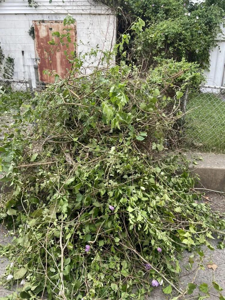 Local residential landscaping experts serving Darby, PA - AJ And Friends Quality Service