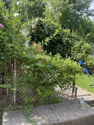 AJ And Friends Quality Service