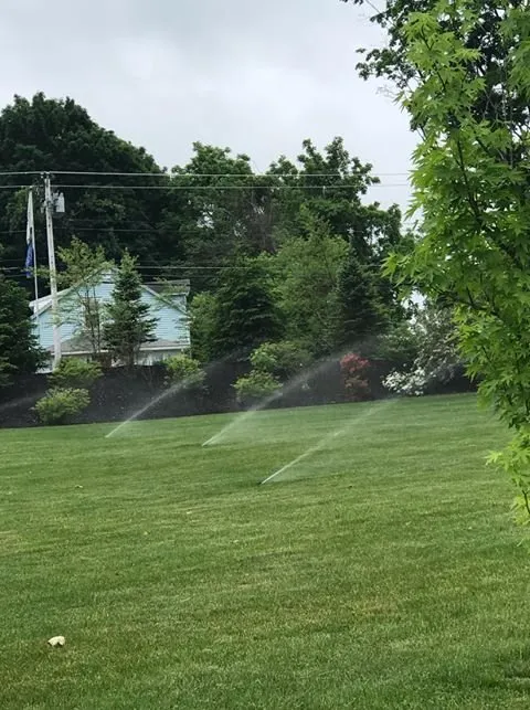 Reliable yard cleanup service experts serving Marlborough, MA - AJ Antico