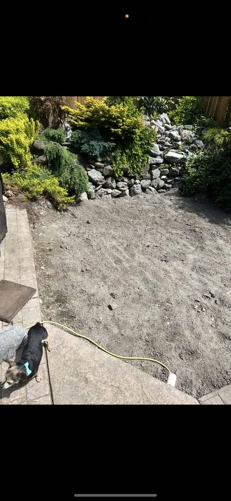 Expert yard cleanup service experts serving Tacoma, WA - A&J Arvilla’s Construction & Landscaping
