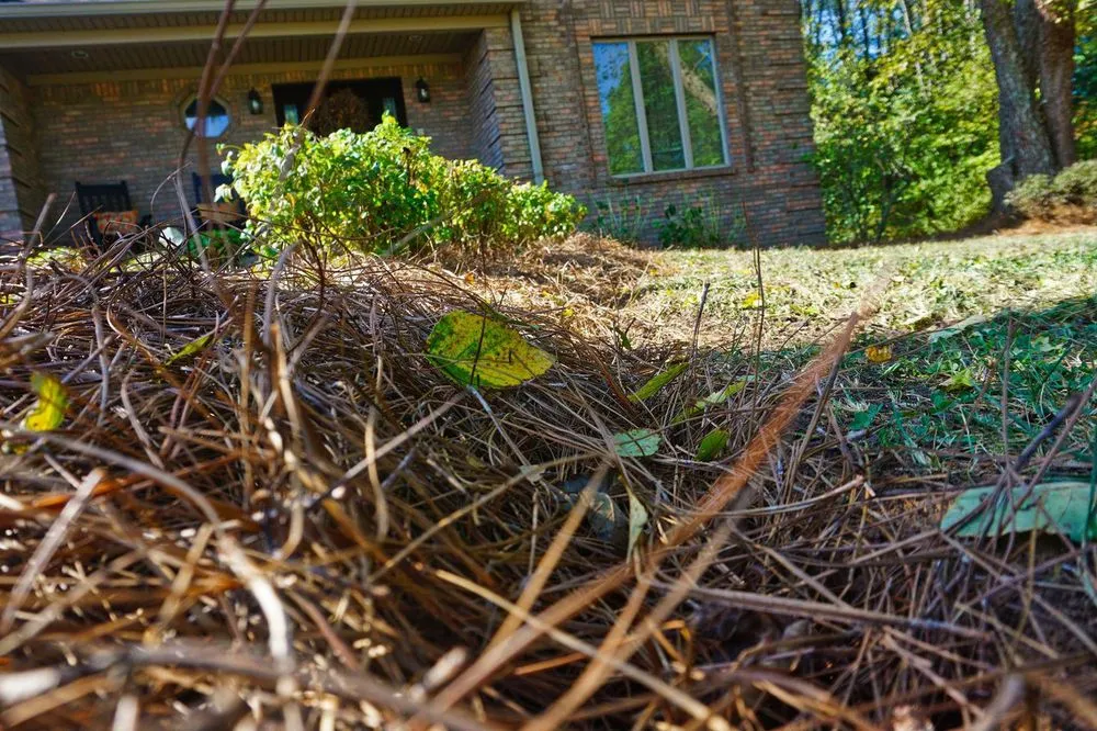 Custom landscaping services in Louisville, KY - A&J Complete