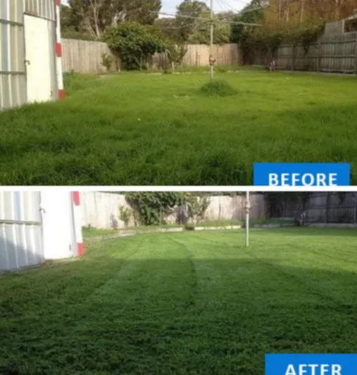 Affordable yard cleanup service for homes across Fort Pierce, FL - AJ Complete Yard Care Debris Removal