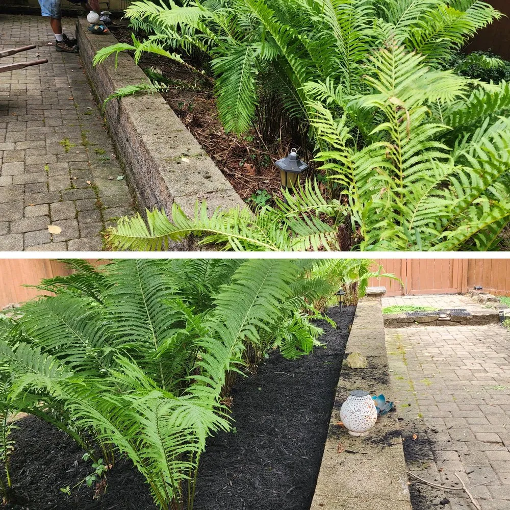 Top-rated landscape design for homes across akron, OH - A&j Exterior Solutions