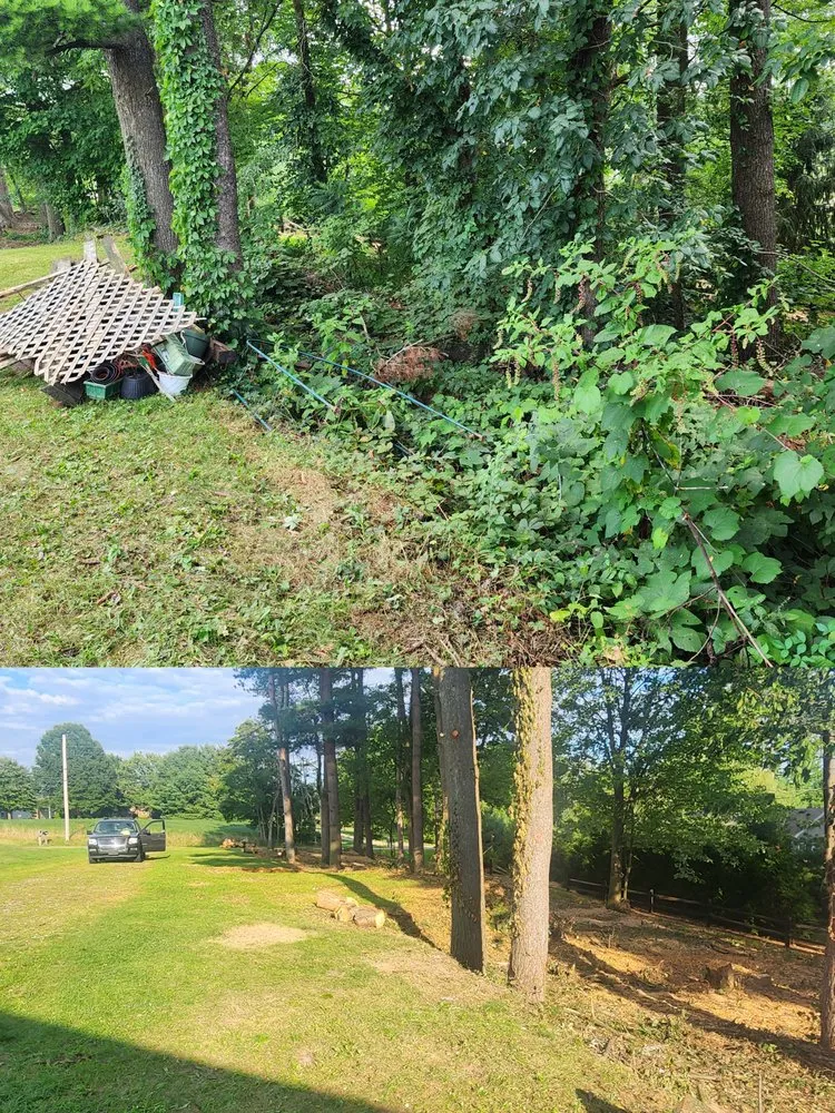 Custom lawn care service experts serving akron, OH - A&j Exterior Solutions