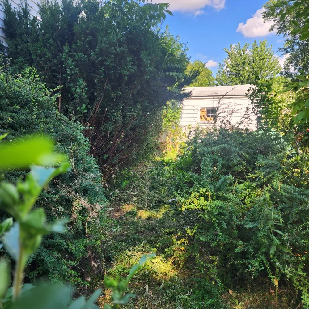 Expert yard maintenance in akron, OH - A&j Exterior Solutions