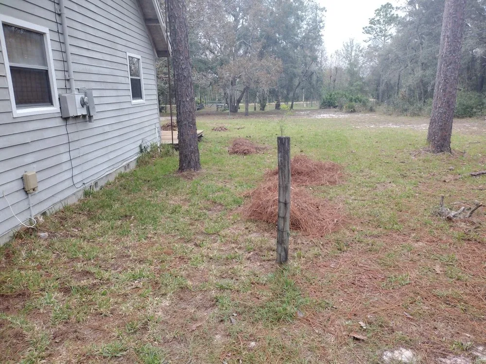 Expert yard maintenance in Crystal River, FL by A&J family services