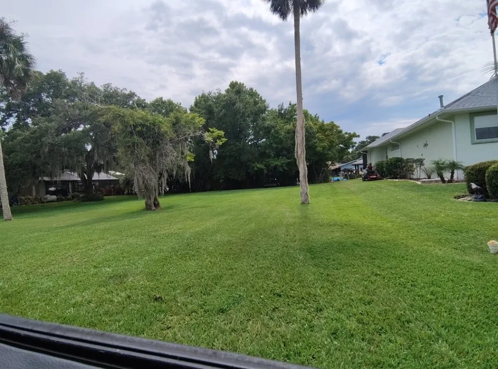 Expert landscape design in Crystal River, FL - A&J family services