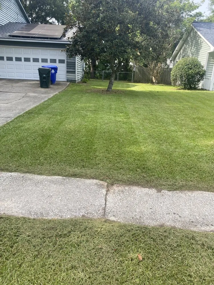 Professional garden landscaping in Hollywood, SC - AJ Five Starz Development