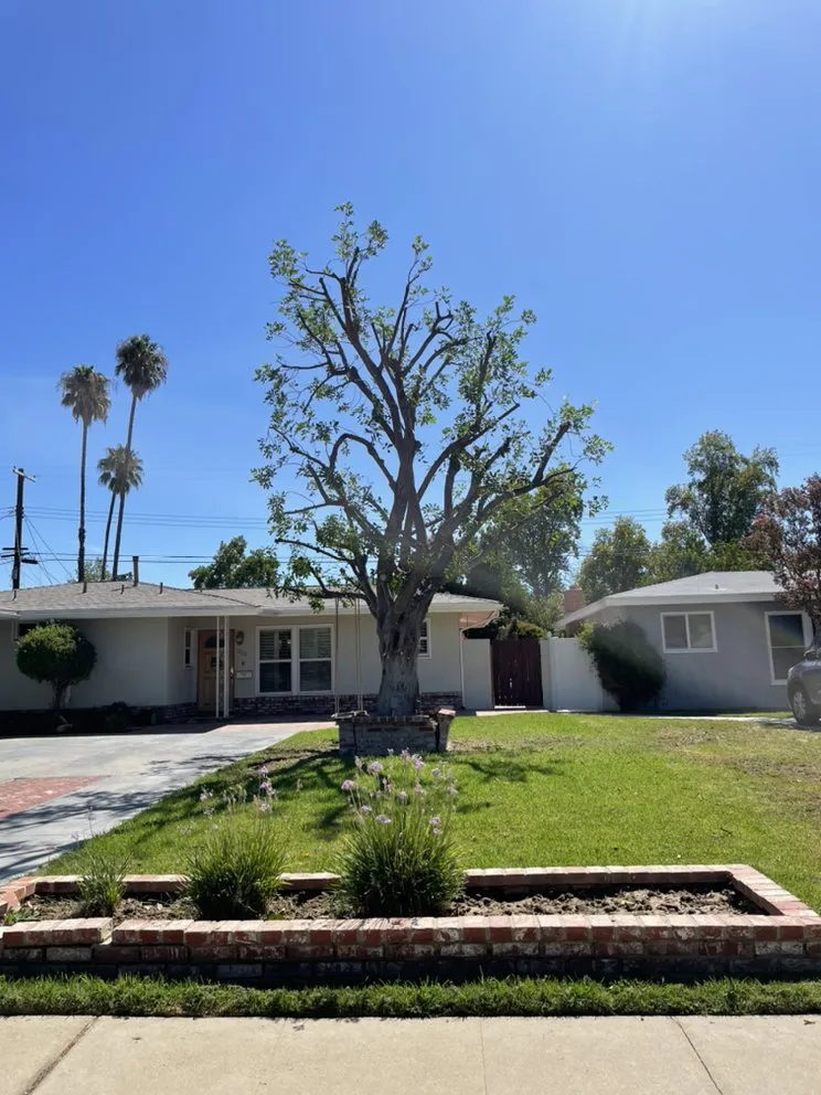 Local outdoor landscaping experts serving San Fernando Valley, CA - A&J Gardening Services