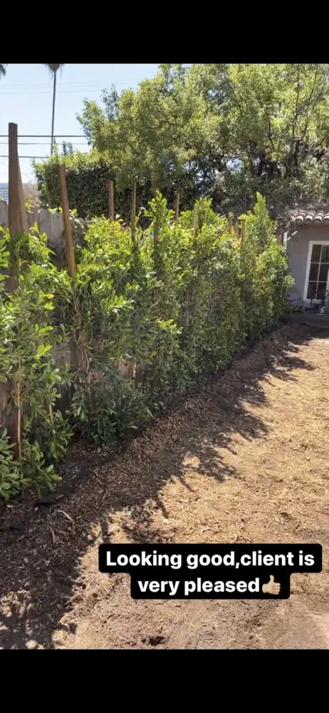 Top-rated residential landscaping experts serving San Fernando Valley, CA - A&J Gardening Services