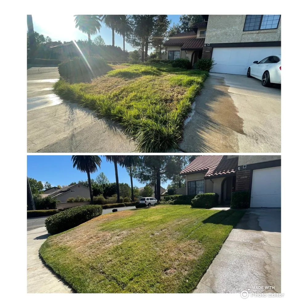 Reliable yard cleanup service experts serving San Fernando Valley, CA - A&J Gardening Services