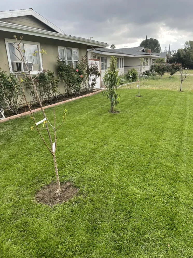 Reliable lawn mowing service in San Fernando Valley, CA - A&J Gardening Services