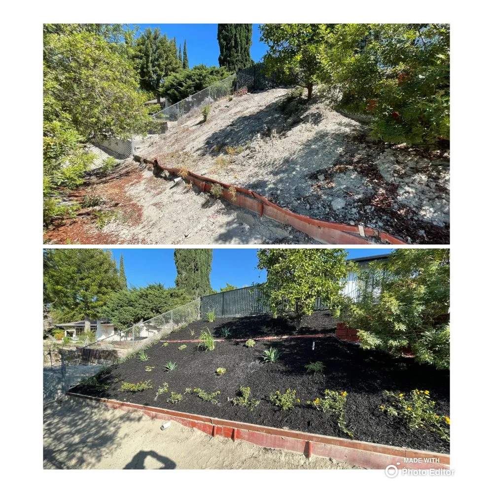 Reliable yard cleanup service in San Fernando Valley, CA - A&J Gardening Services