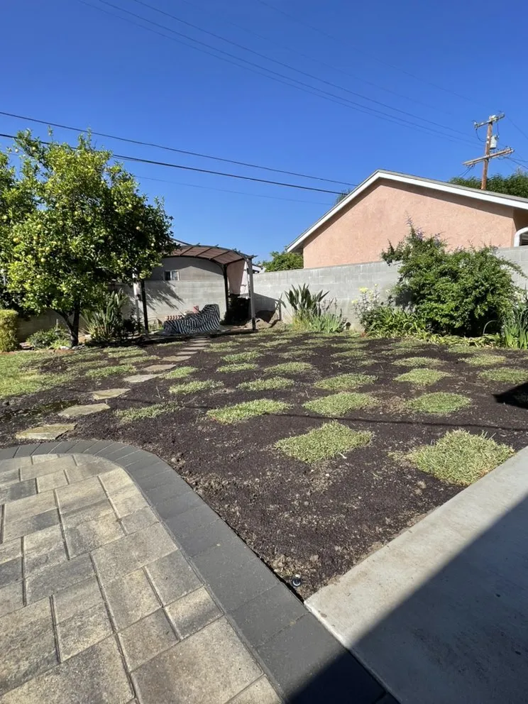 Reliable yard cleanup service in San Fernando Valley, CA - A&J Gardening Services