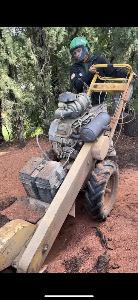 Affordable residential landscaping for beautiful yards in San Fernando Valley, CA by A&J Gardening Services