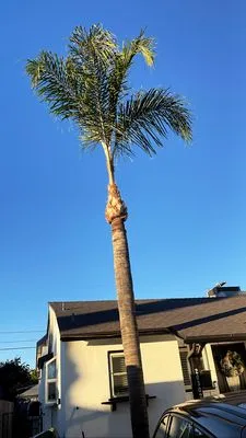 A&J Gardening Services Logo