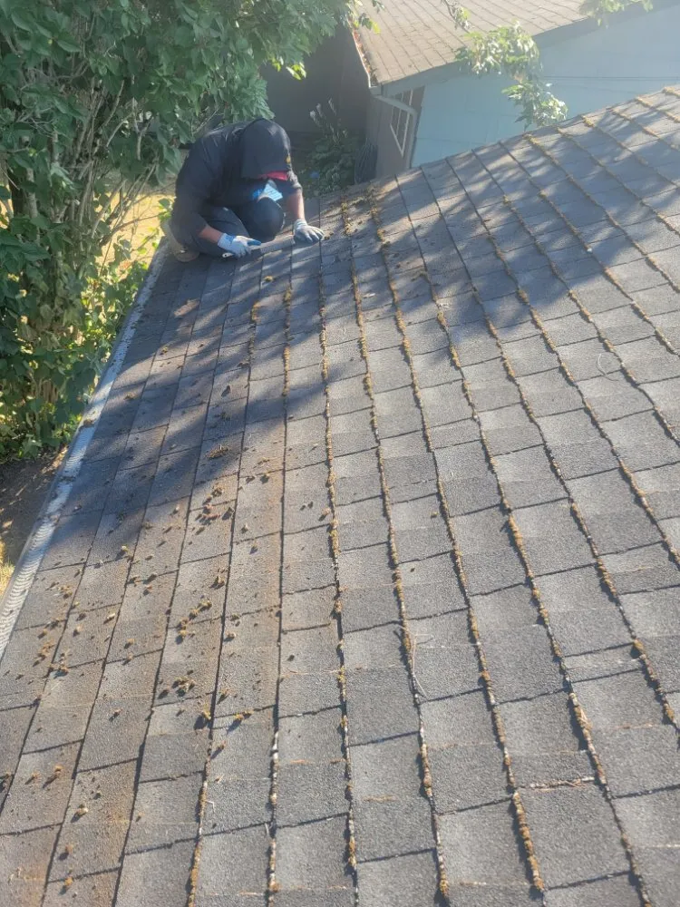 Custom yard cleanup service for homes across Burien, WA - A&J General Service