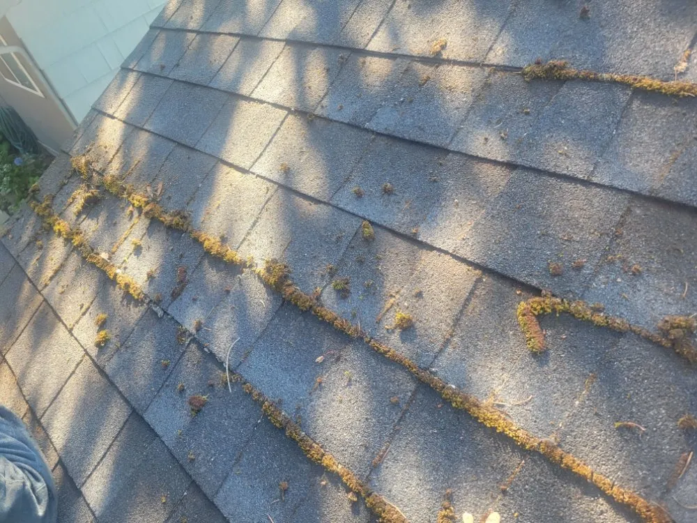 Trusted garden landscaping near you in Burien, WA by A&J General Service