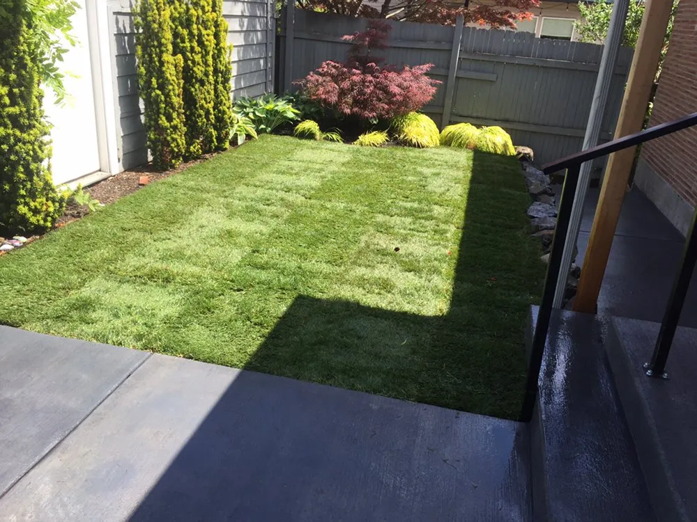Local yard cleanup service for homes across Burien, WA - A&J General Service