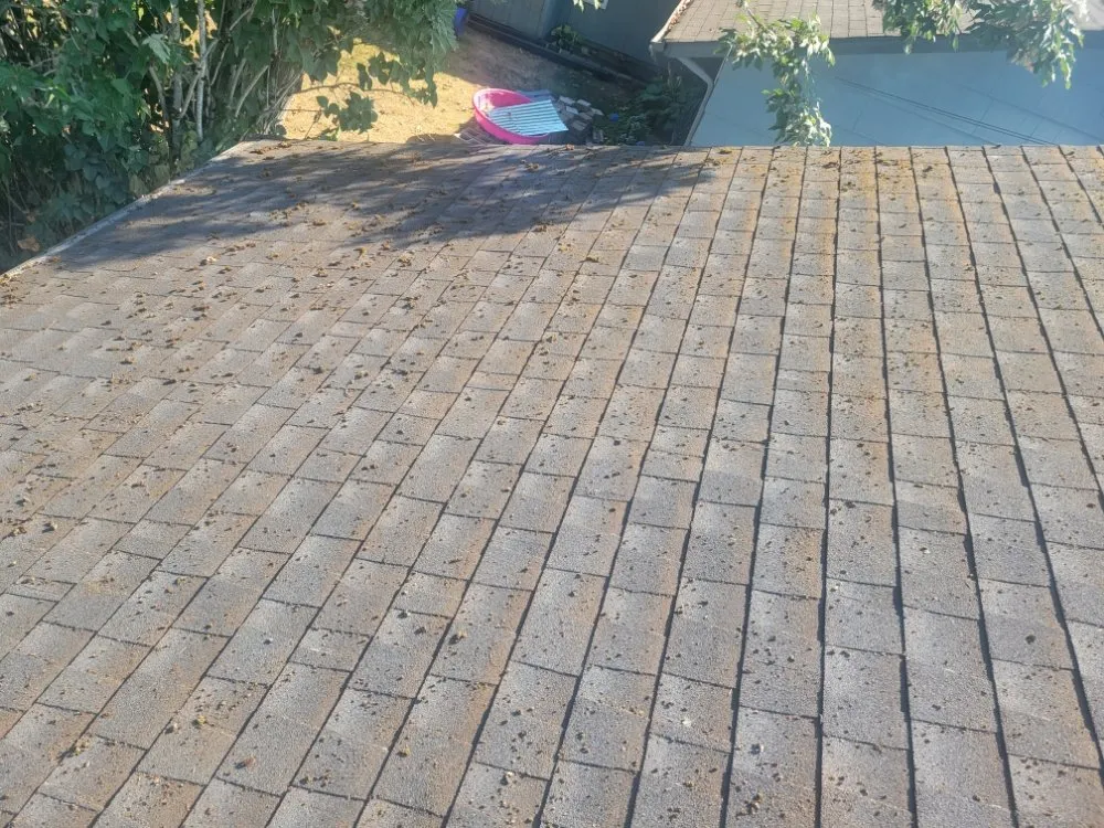 Reliable landscaping services in Burien, WA - A&J General Service