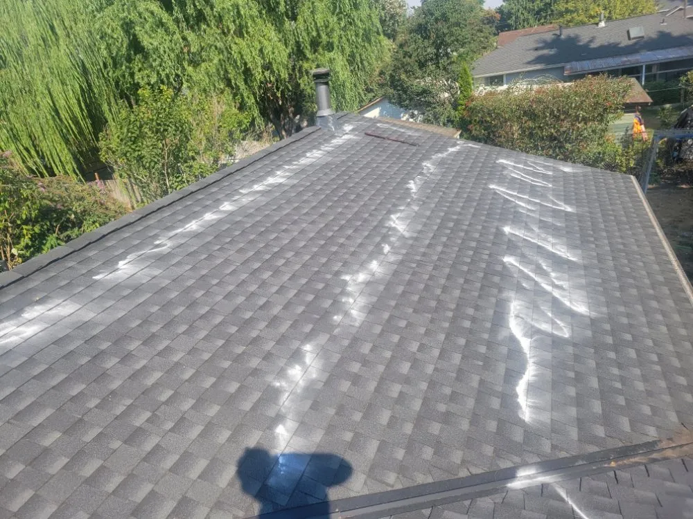 Professional yard cleanup service experts serving Burien, WA - A&J General Service