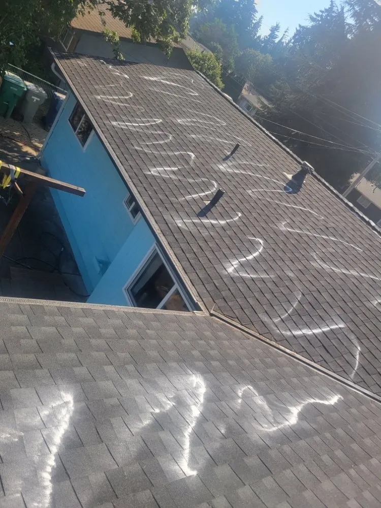 Reliable yard cleanup service experts serving Burien, WA - A&J General Service