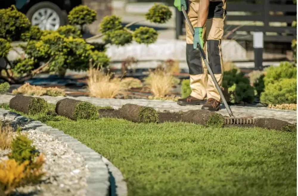 Expert yard maintenance for year-round maintenance in Burien, WA by A&J General Service