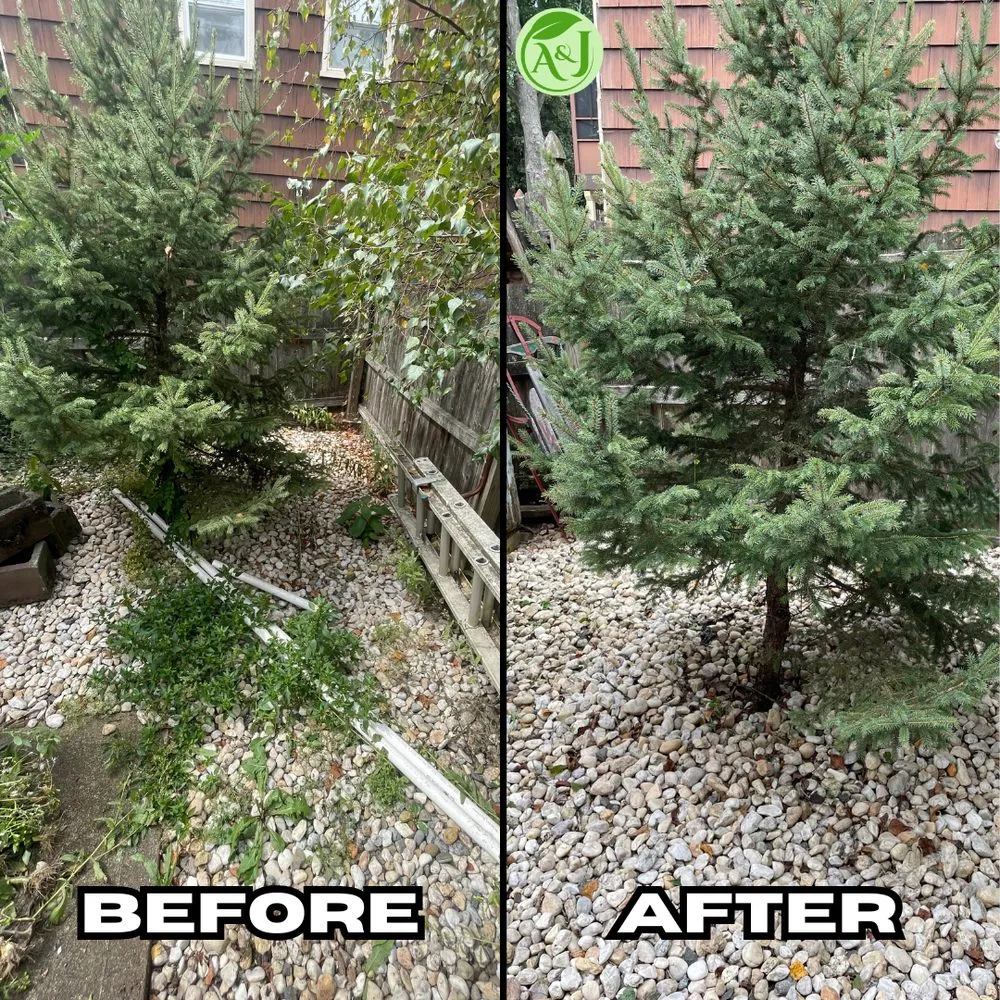 Trusted yard cleanup service in New Brunswick, NJ - A&J Green
