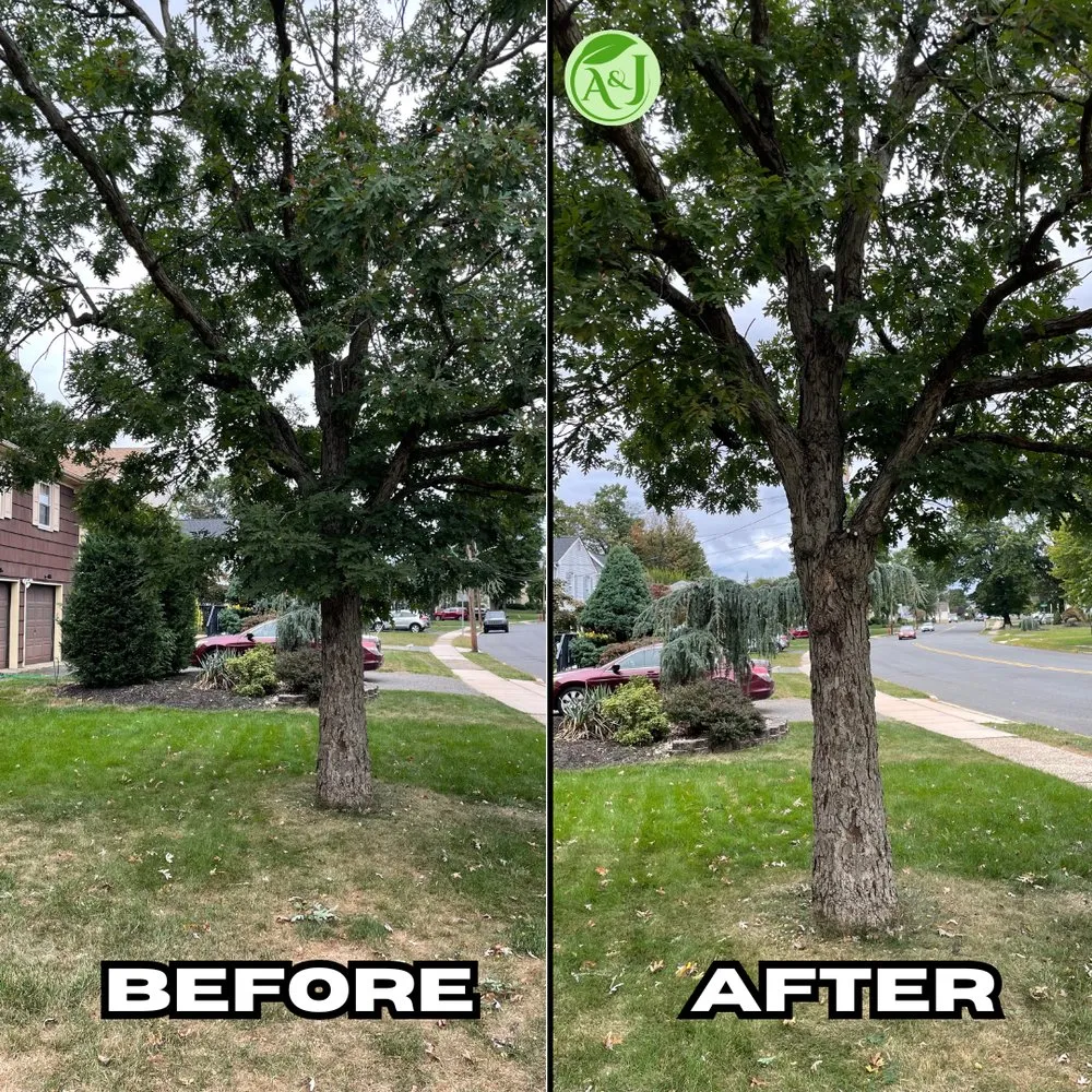 Professional garden landscaping in New Brunswick, NJ - A&J Green