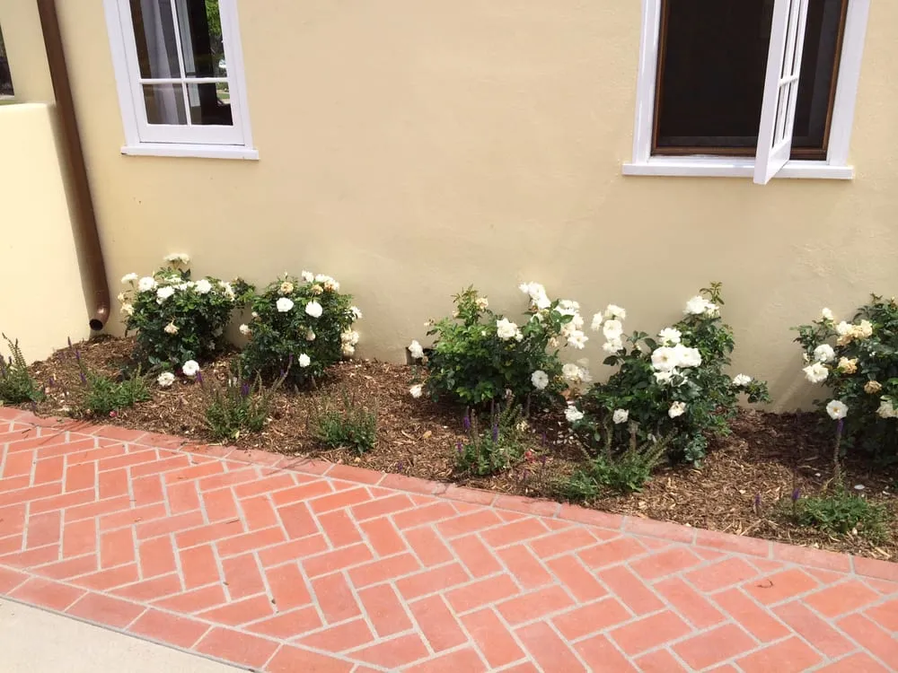 Professional garden landscaping near you in Orange, CA by AJ Horticulture
