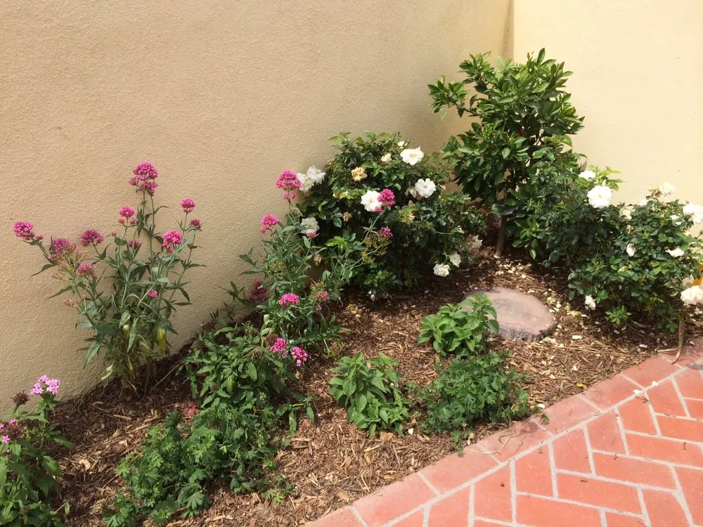 Expert landscape installation in Orange, CA - AJ Horticulture