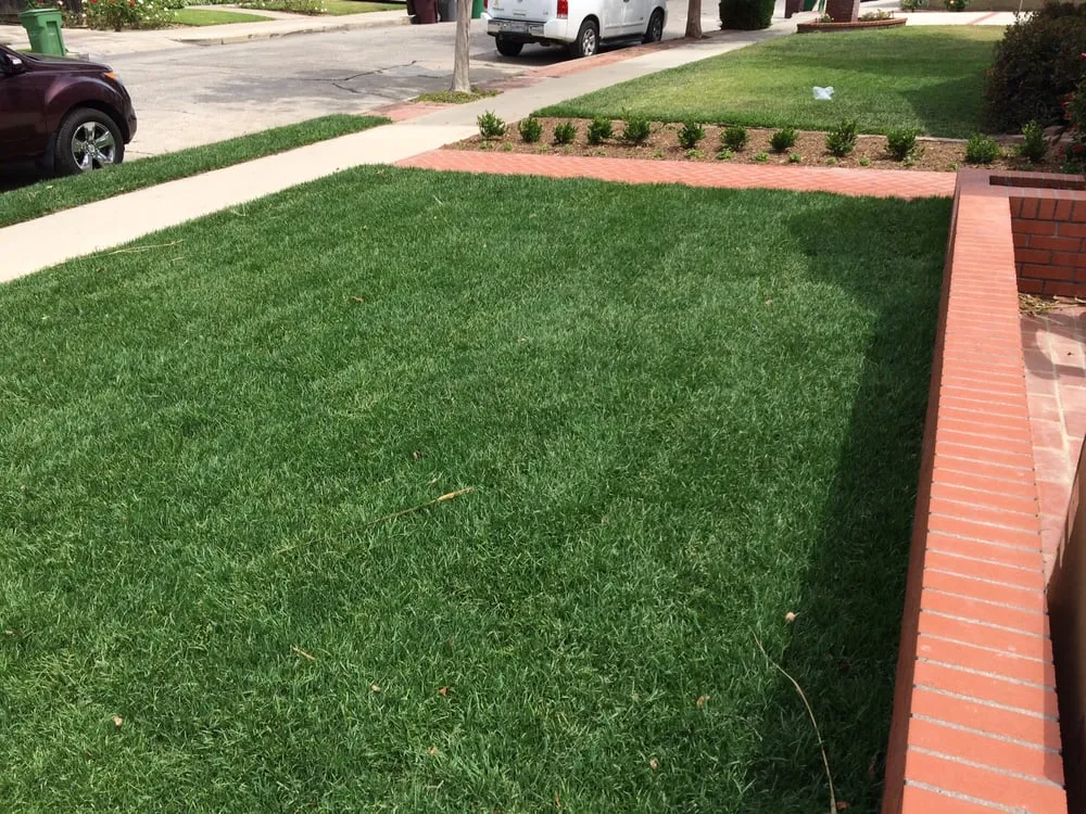 Reliable lawn mowing service experts serving Orange, CA - AJ Horticulture