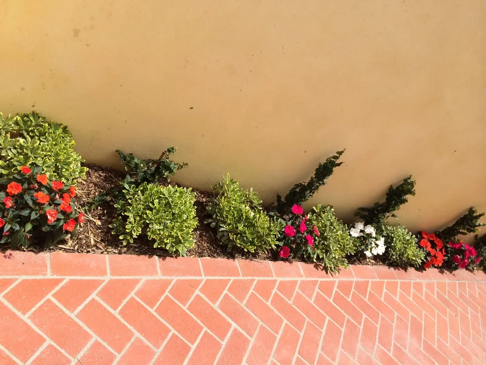 Affordable residential landscaping for beautiful yards in Orange, CA by AJ Horticulture
