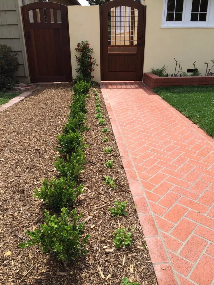 Custom residential landscaping in Orange, CA - AJ Horticulture