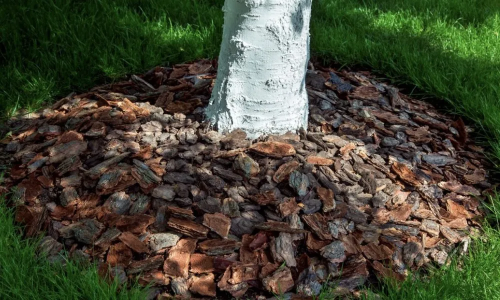 Expert landscaping services in Chicago, IL by A&J Landcare