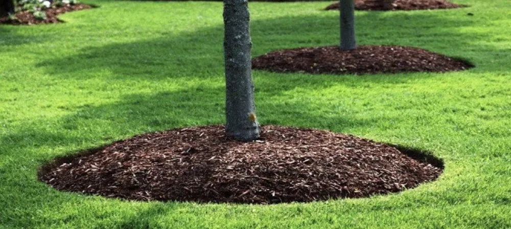 Professional lawn mowing service in Chicago, IL by A&J Landcare