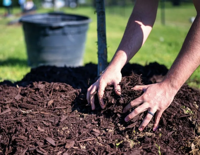 Custom lawn mowing service in Chicago, IL by A&J Landcare