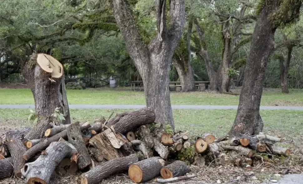 Affordable outdoor landscaping experts serving Chicago, IL - A&J Landcare