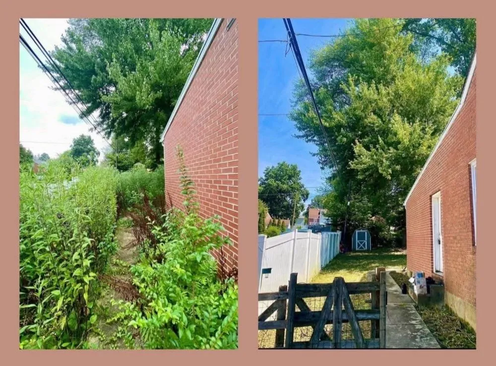 Custom lawn care service experts serving Havertown, PA - A&J Landscape and Turf Services