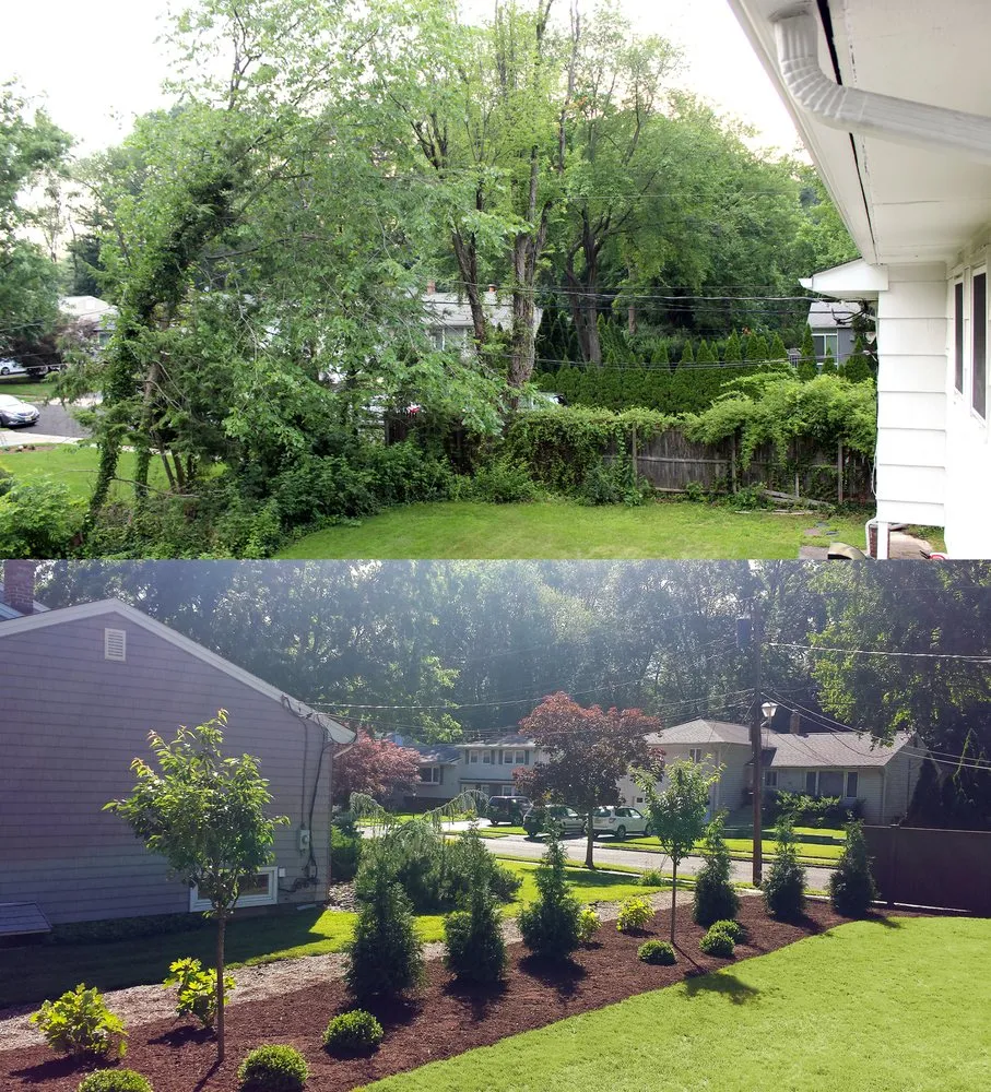 Professional outdoor landscaping in Springfield Township, NJ by A&J Landscape Design