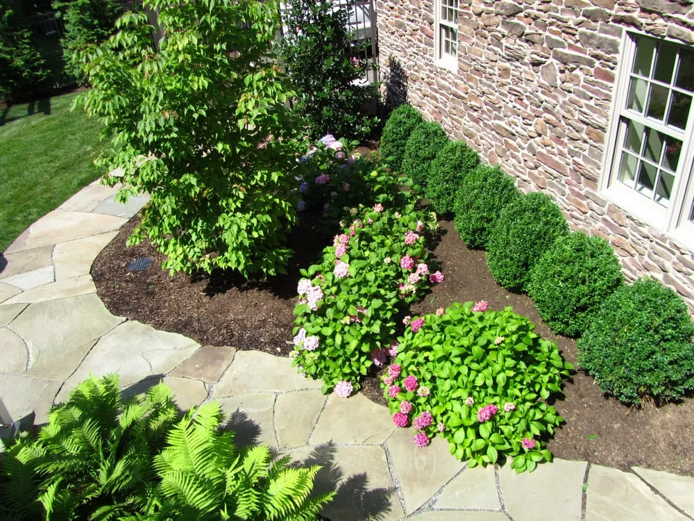 Professional residential landscaping for outdoor upgrades across Springfield Township, NJ - A&J Landscape Design