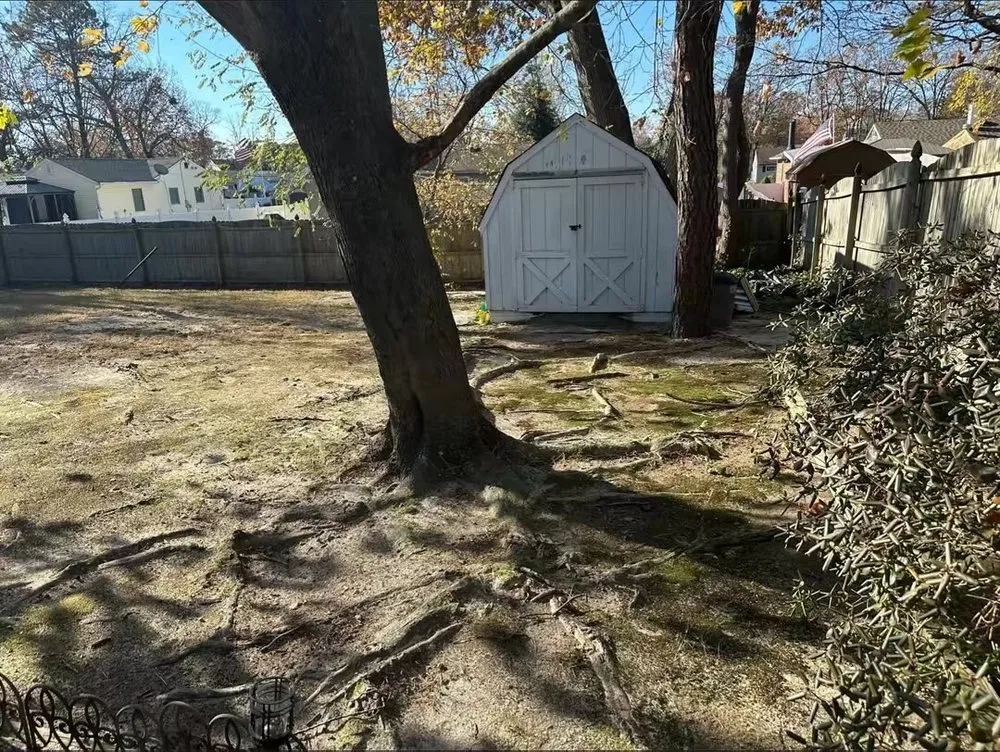 Expert yard maintenance in Brick Township, NJ by A&J Landscape Services