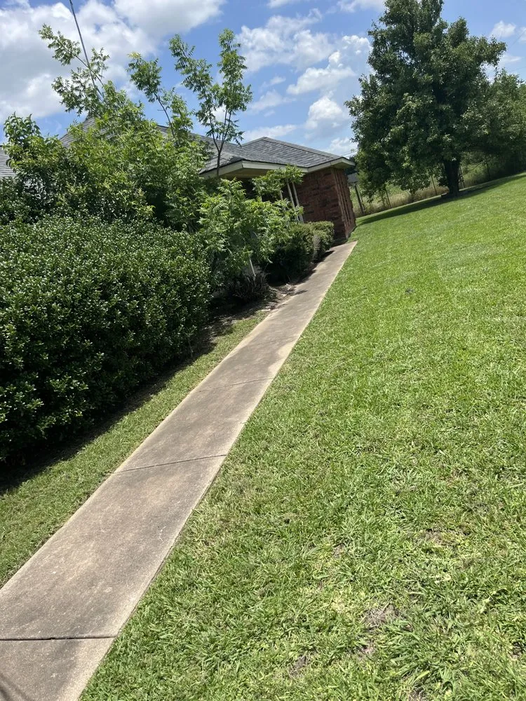 Top-rated yard cleanup service experts serving Irving, TX - Aj Landscape Services