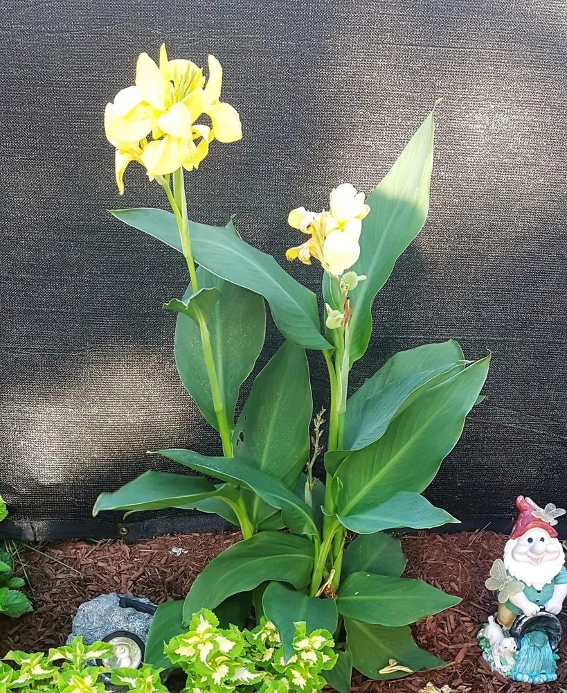 Trusted landscape installation near you in South Hadley, MA by A&J Landscape Services