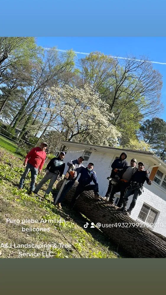 Affordable yard cleanup service in Loganville, GA - A&J Landscaping & Tree Service