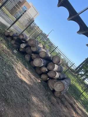 A&J Landscaping & Tree Service Logo