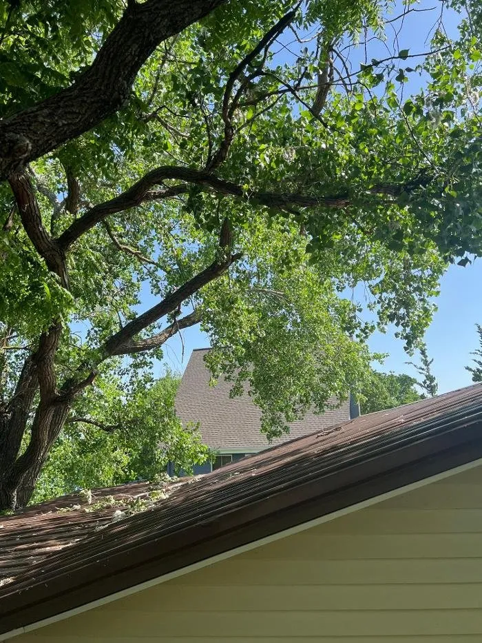 Local outdoor landscaping in Wilsey, KS - A&J Landscaping & Tree Service